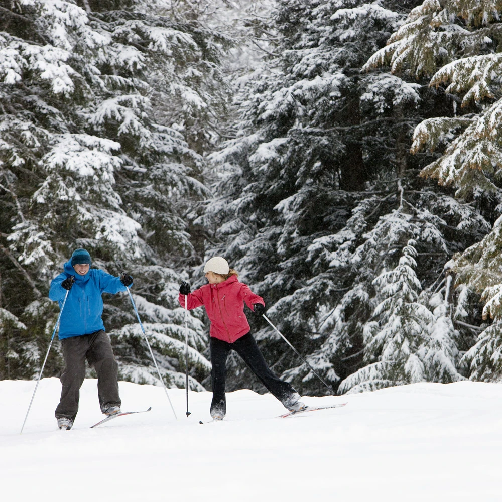 Snowy Couple